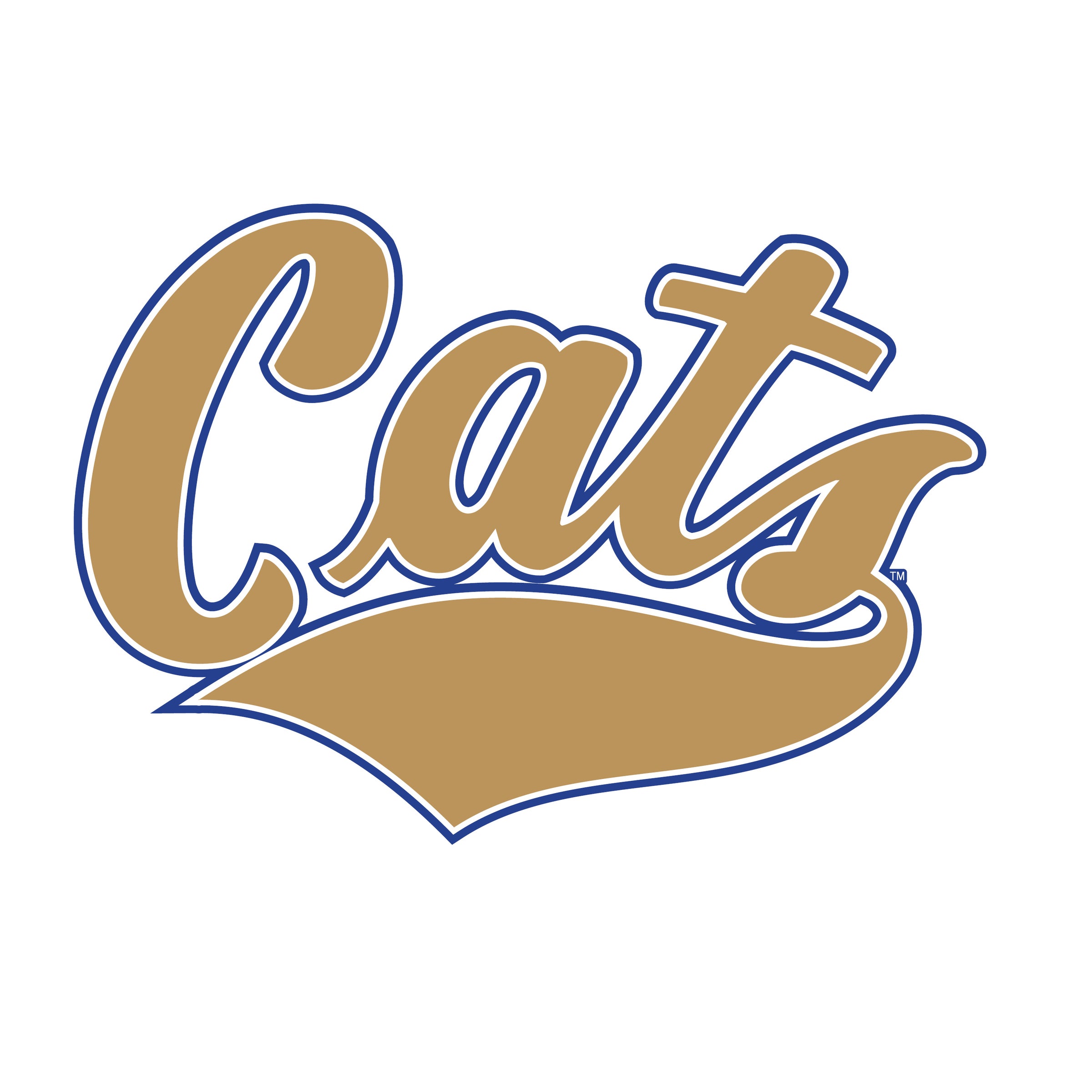Cats Script Logo Cats Script Helmet